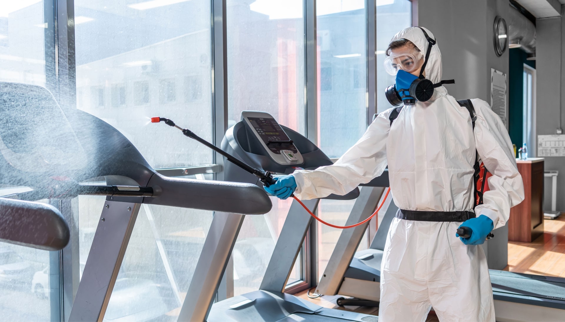 Commercial Mold Removal Services in Indianapolis