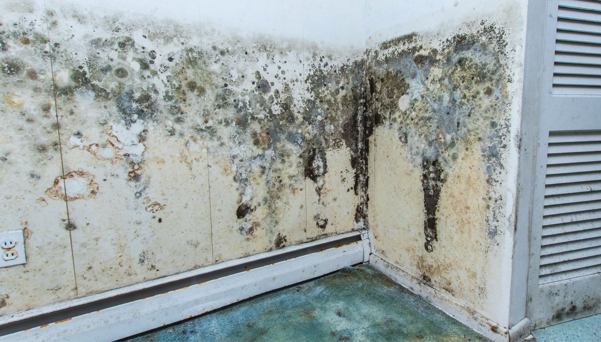A mold remediation team using specialized techniques to remove mold damage and control odors in a Indianapolis property, with a focus on safety and efficiency